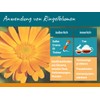 Calendula/Ringelblumen Tinktur 200ml