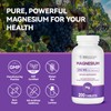 Magnesium Supplement- Magnesium Oxide 250 mg, Calcium Magnesium Supplement for