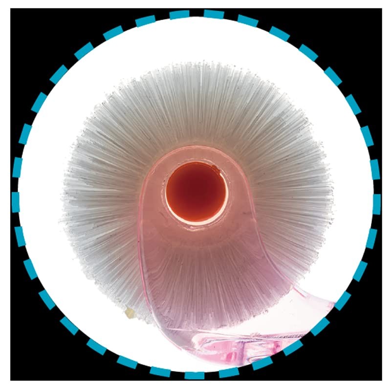 プラークリムーバー クルン 折りたたみ式 レギュラーヘッド (ピンク)◆2本セット 日本製 くるん歯ブラシ 360度 歯ブラシ 回転