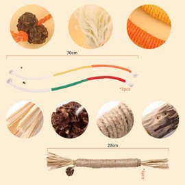 Catnip Toy Pack of 4 Catnip Stick Cat Toy with Catnip Cat Sticks Suitable for Dental Care for Cats Stress Relief with 2 Pieces Chew Ropes