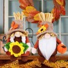 BWFY 2pcs Fall Gnomes Decorations for Home, Thanksgiving Gnomes Plush