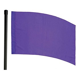 Director's Showcase DSI 6 Foot Black Flag Pole and Color Guard Flag Bundle (Purple)