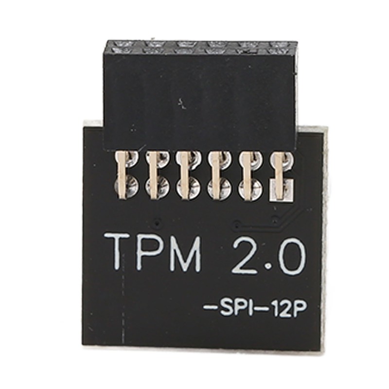 TPM2.0 Encryption Security Module for GIGABYTE Mainboard SPI 12Pin Security