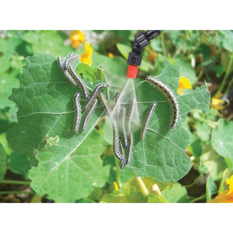 Solo 454 1-1/4 Gallon Professional Handheld Sprayer with Carrying Strap