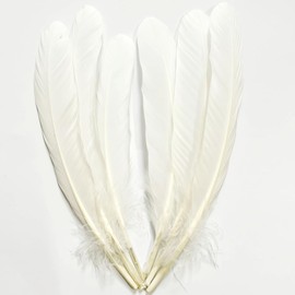 White Feathers 8-10inch,50PCS 21-25cm Bulk Feather for Crafts,Natural Long Goose Feather,for Wedding Dress and Party Costumes Decoration,DIY Fabricating Handicraft Article