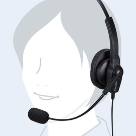 サンワサプライ USBヘッドセット/ヘッドホン MM-HSU03BK