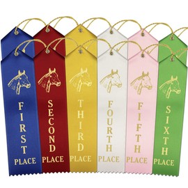 RibbonsNow Horse Show Ribbons 1st - 6th Place - 300 Total Ribbons - 50 Each Place with Card & String