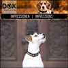 DDOXX Reflective Airmesh Dog Collar - Sturdy and Adjustable Puppy