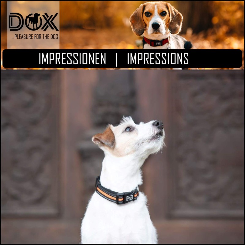 DDOXX Reflective Airmesh Dog Collar - Sturdy and Adjustable Puppy