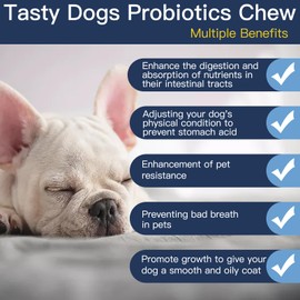 Penkyer Probiotics for Dogs, Dog Probiotics for Yeast, Itchy Skin and Itchy Ears, Digestive Enzymes with Prebiotics for Digestive Health, Probiotic Chews for Dogs Support Immunity Health - (Chicken 240 Ct)