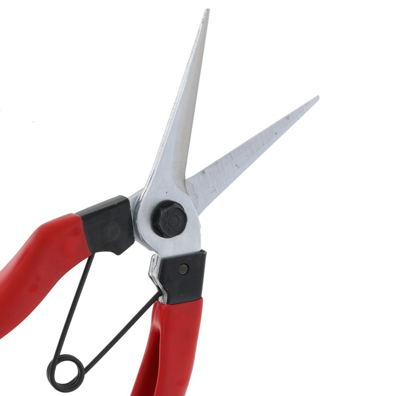 Takagi Sunflower Factory x Takagi Bud Pruning Shears 8 in
