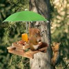 Gnodary Squirrel Feeder with Umbrella, Squirrel Feeders for Outside, Squirrel