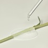 The Lab by Blanc Do [Main product + refill set]