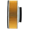 Hiflofiltro HFA2911 Filtro de Aire Premium OE de Repuesto Negro