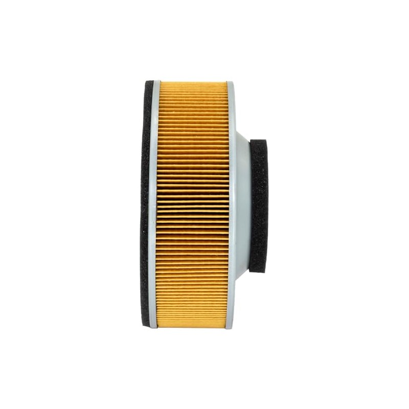 Hiflofiltro HFA2911 Filtro de Aire Premium OE de Repuesto Negro