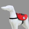 ALL ACCESS CANINE™ Service Dog - Support Animal ESA Dog