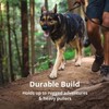RUFFWEAR Front Range Dog Harness, Reflective Y-Harness, Adjustable, Comfortable Padded