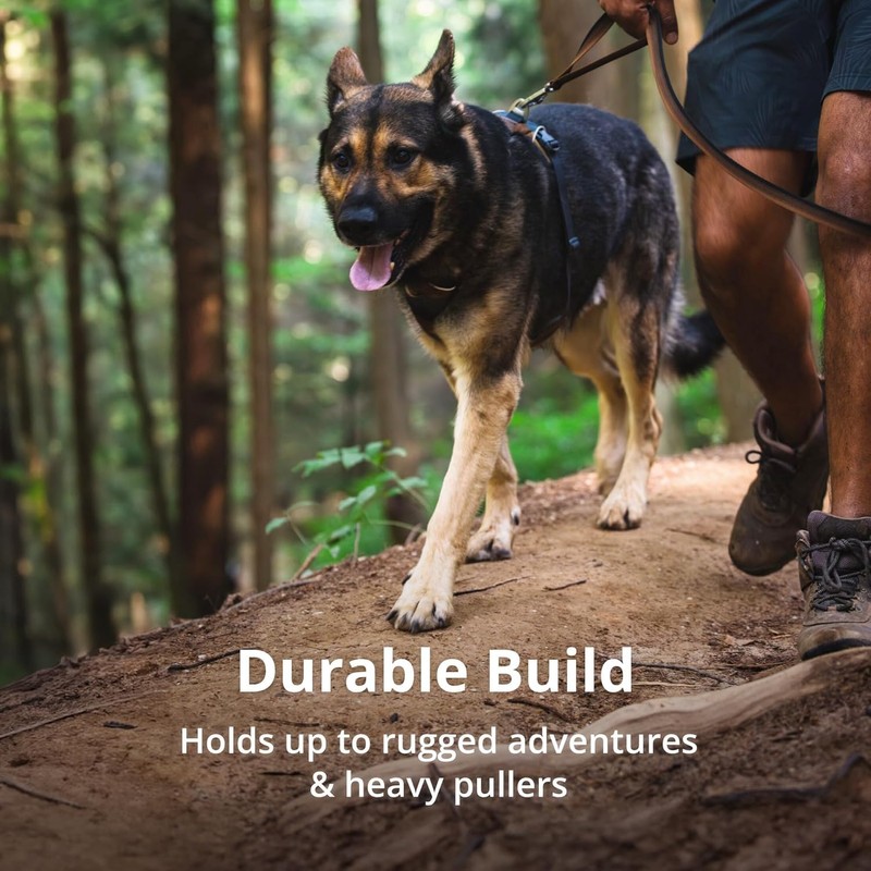 RUFFWEAR Front Range Dog Harness, Reflective Y-Harness, Adjustable, Comfortable Padded