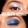 Urban Decay Moondust Ice Out Quad, Paleta de Sombras Edición