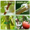 200 Pack Secured Plastic Plant Clips, 2024 Combinable Plant Support