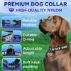 TECEUM Reflective Pet Collar – Black - Service Dog –