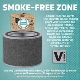 GermGuardian Filter V Smoke Clear HEPA Genuine Air Purifier Replacement Filter, Removes 99.97% of Pollutants, Smoke Toxins and Odors, for AirSafe Series and AC151, Black/Gray, FLT151SM