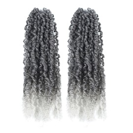 Toyotress Yanky Twist Crochet Hair - 14 Inch 2 Packs (30 Strands/Pcs) Fluffy Spring Mini Twist Passion Twist, Ombre Gray Pre-Looped Crochet Braids Braiding Hair (14 Inch, T1B/Gray-2P)