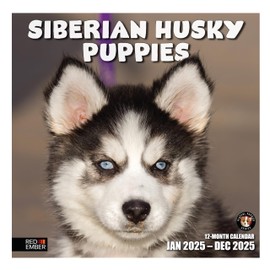 RED EMBER Siberian Husky Puppies 2025 Wall Calendar 12 Month | 12" x 24" Open | Thick & Sturdy Paper | Giftable | Calendar 2025