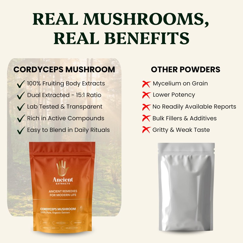 Ancient Extracts Cordyceps Mushroom Extract Powder - Increased Energy, Performance,