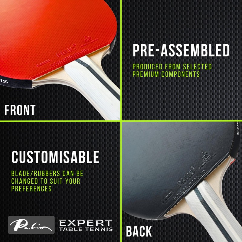 Palio Expert 3.0 Table Tennis Bat & Case | ITTF