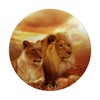 Pop Socket Lion And Lioness Design