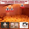 VIHOSE 8 Pack Infrared Heat Lamp for Chickens 250watt 120v