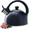 KADAX Stainless Steel Kettle, 1.7 L Kettle in Various Colours,