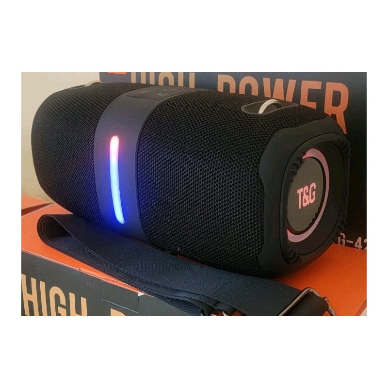 T&G HIGH POWER PORTABLE WIRELESS BLUETOOTH SPEAKER