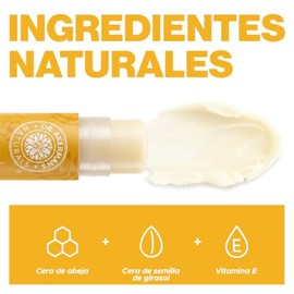 DR. AKERMAN'S NATURALS, Bálsamo Labial Natural Humectante, Pack de 5 Sabores Mixtos, Protección e Hidratación Diaria, 4.5g Cada Uno (1)