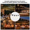 Hobbynors 10Pack ST38 LED Outdoor String Light Replacement Bulbs, Shatterproof