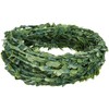 Rayher Hobby Box Tree Garland, 5 m Roll - 5107300