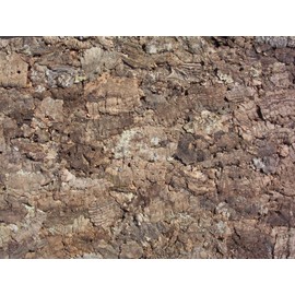 Cork Back Panel Natural 60 x 30 cm, Terrarium, Cork Back Panel (92011), Decorative Background