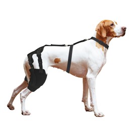 Dog Knee Brace with Side Stabilizers - Support for Dog ACL CCL Cruciate Ligament Injury Joint Pain and Muscle Sore（Size XXXL