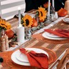 Mifoci Pumpkin Placemats Set of 6, Fall Napkin Rings Autumn