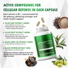 Nessarit Olive Leaf & Olive Fruit 9,100mg with 60% Oleuropein