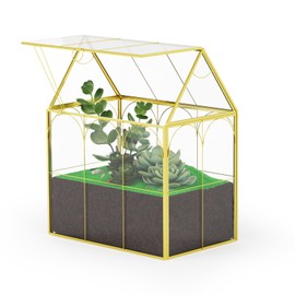 Atzciyr Glass Geometric Plant Terrarium, Modern Decor DIY Gift Box, Glass Planter Terrarium with Lid, Succulent & Air Planter for Home Garden Office Decoration (Gold)