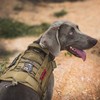 OneTigris Arnés táctico para Perro con asa, arnés Militar para