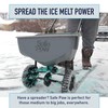 Safe Paw Safe Paw Pet Safe Ice & Snow Melt,