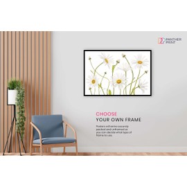 Panther Print Fine Art Prints White Ox Eye Daisies Flower Floral Garden Artistic Unframed Poster, Pictures for Home Walls, Bedroom, Living Room & Bathroom Decor 31x20cm (12x8in)
