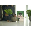 Miracle-Gro Houseplant Potting Mix - Fertilized Soil, Designed to be