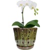 Grdthzey Ceramic Orchid Pots with Attached Saucer and Drainage Hole