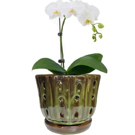 Grdthzey Ceramic Orchid Pots with Attached Saucer and Drainage Hole 6'' Orchid Planter (mossgreen)