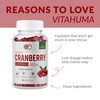 VitaHuma Organic Cranberry Extract Capsules, 800 MG Per Serving, Whole
