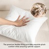 MIULEE 20x20 Pillow Inserts, Pack of 2 Feather Throw Pillow